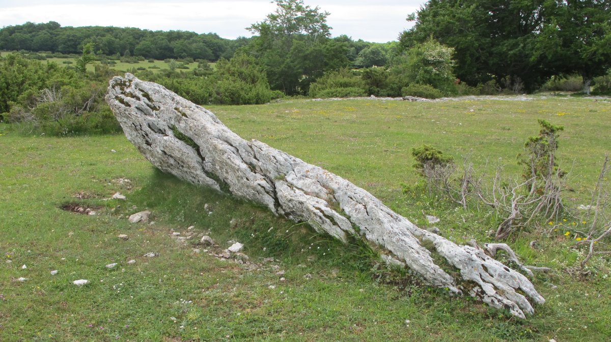 Otsaportillo 1 Ipar zutarria