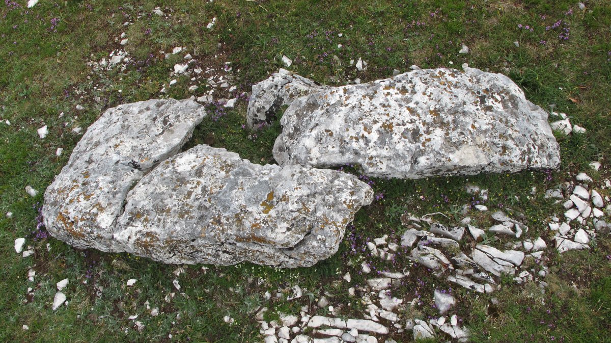 Otsaportillo 3 erdi zutarria