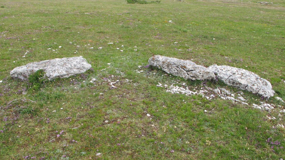 Otsaportillo 3 erdi zutarria