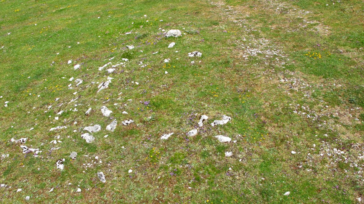 BALTSA BARDOITZA tumulua