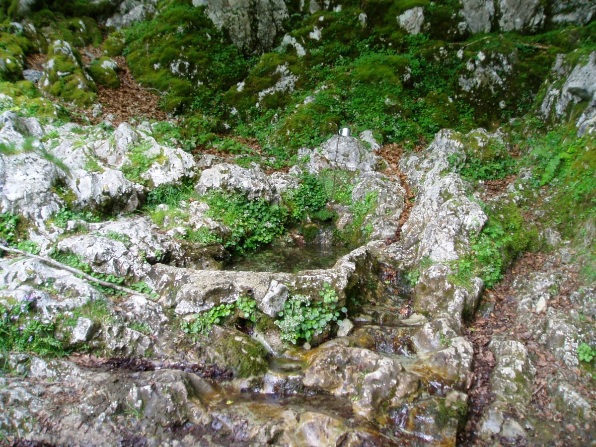 Kaltzada ondoko iturria