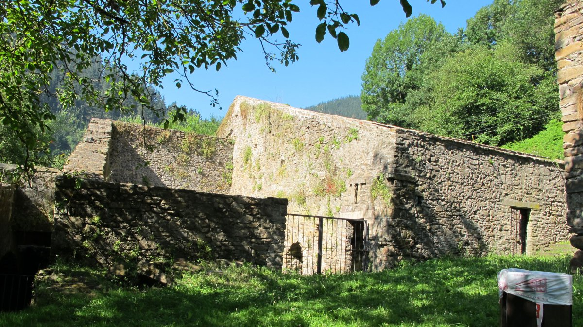 Bolunburu burdinola, Zalla