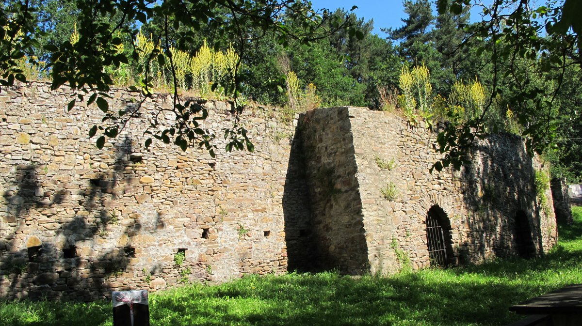 Bolunburu burdinola, Zalla