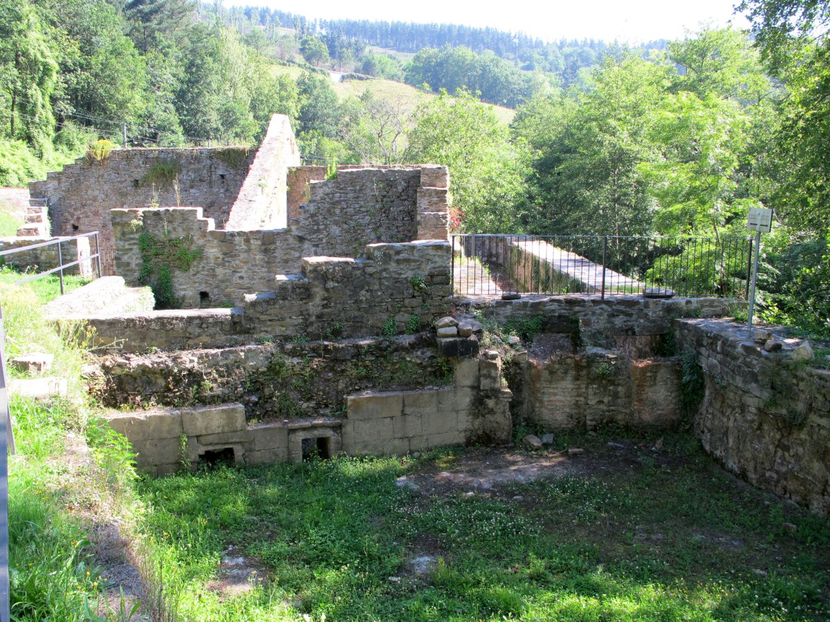 Bolunburu burdinola, Zalla