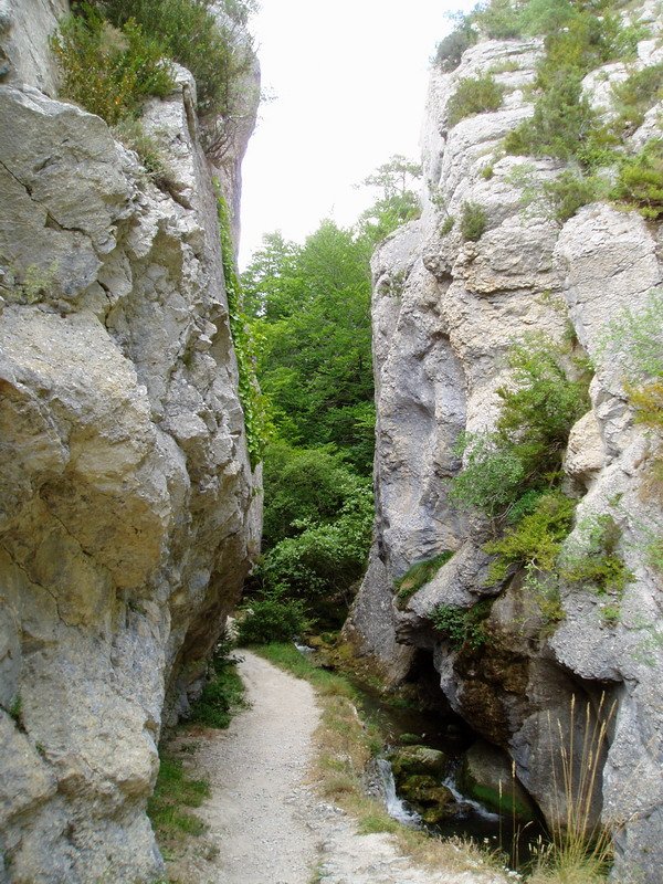 Puron errekaren arroila