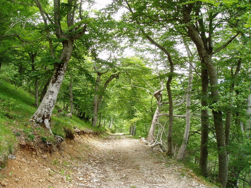 Bovedatik Portillo de la Sierrara igotzen den bidea
