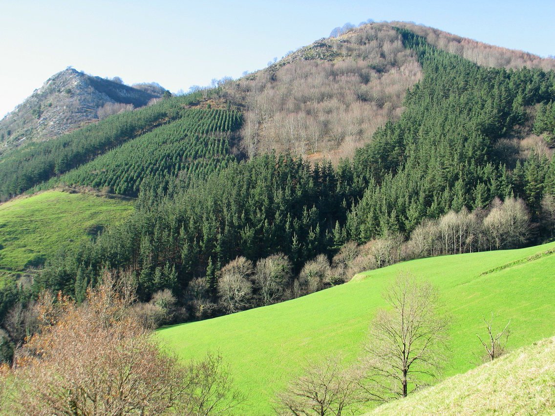 Zestoa aldeko igoeratik