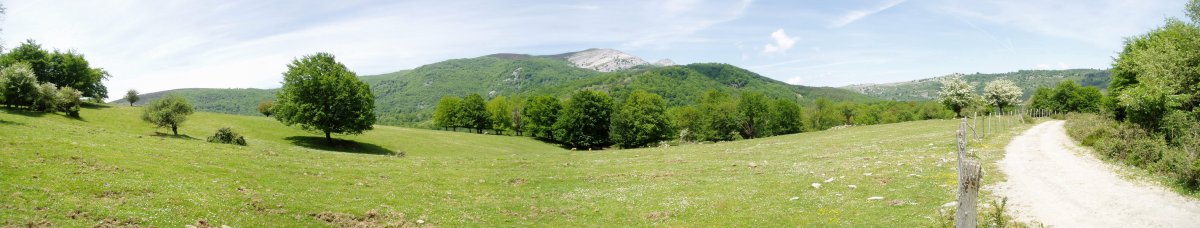 Hego-ekialdetik ikusita