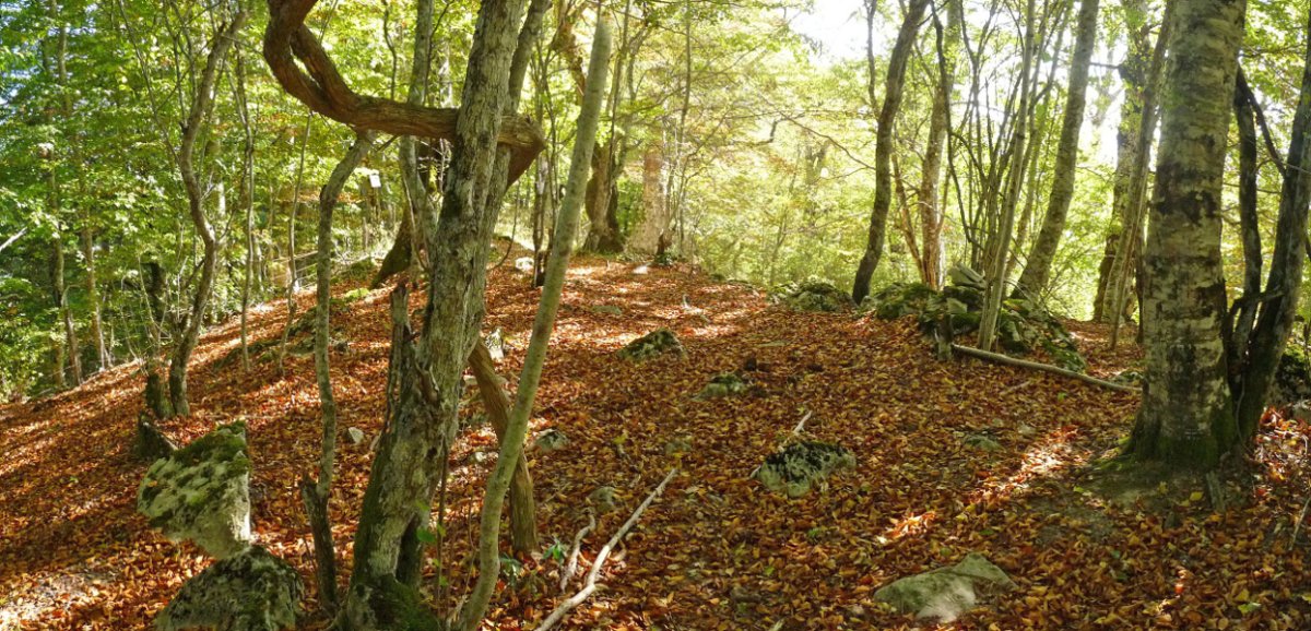 Latxagibeleko gailurra