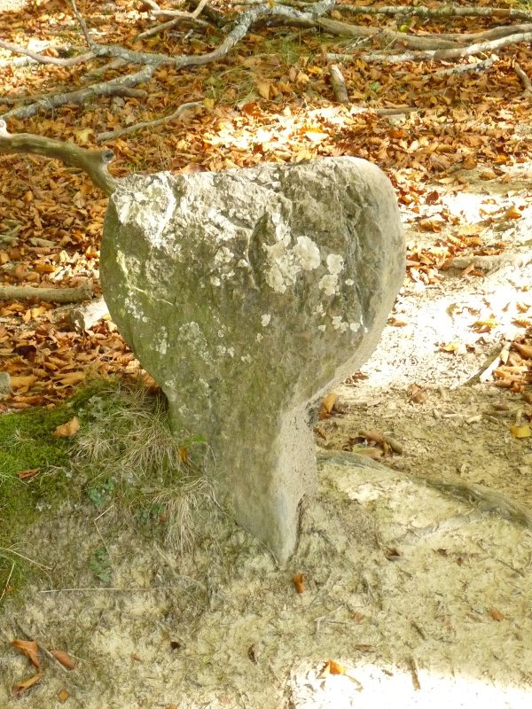 Hilarria Irupagoetako gailurretik hurbil