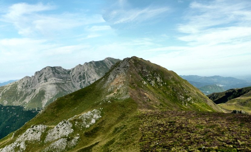 Erpin Geodesikodun Tontorra