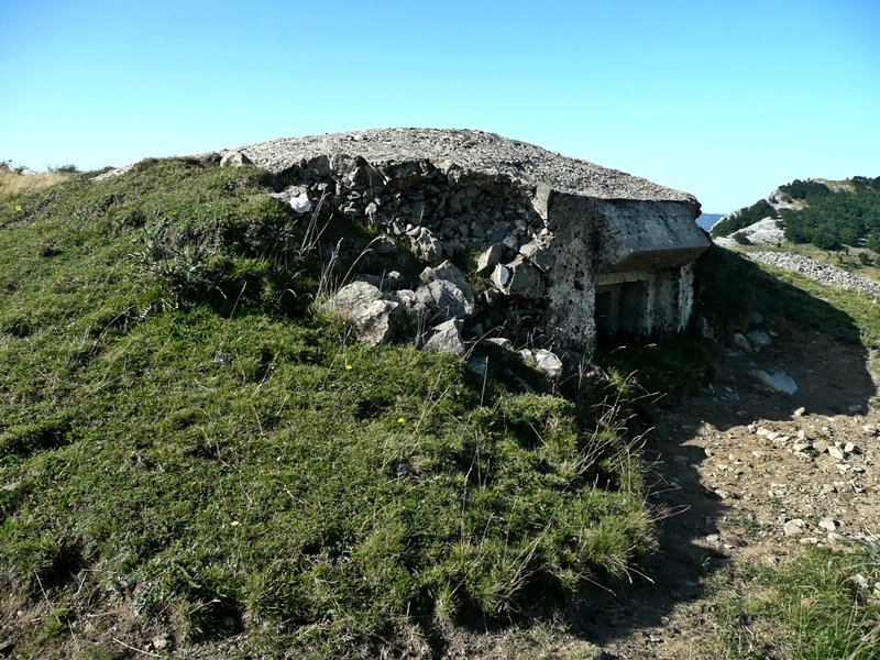 Bunkerra Tontorretik Gertu