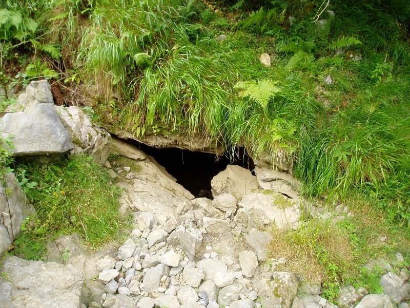 Berragertzea iturburua