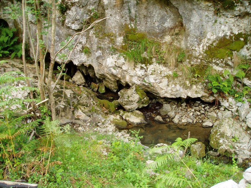 Berragertzea iturburua