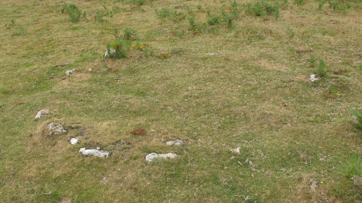 Zaria II harrespila, Oiartzun