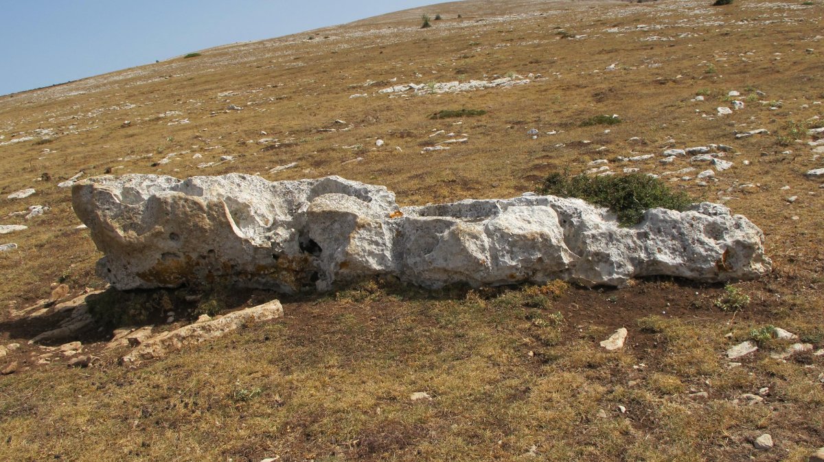 Anuelen zutarria, Andia