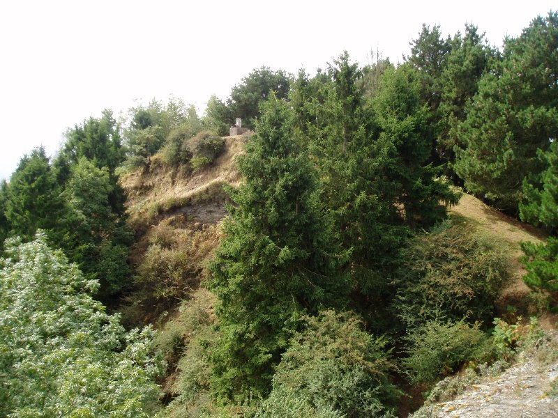 Iparraldetik ikusita