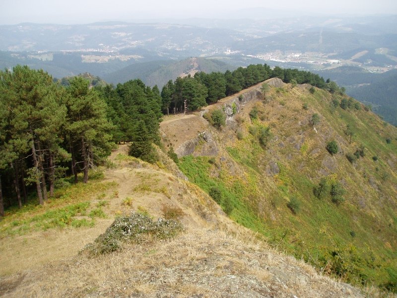 Iparraldeko gandorra