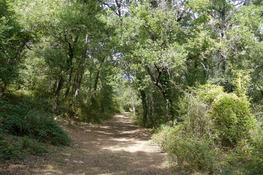 Bidea San Gregorio ermitaren inguruetan, Saldise aldean