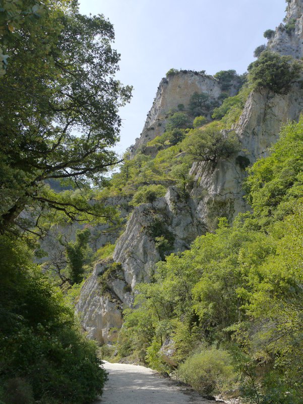 Artazul arroila, ur-jauzirako bidean