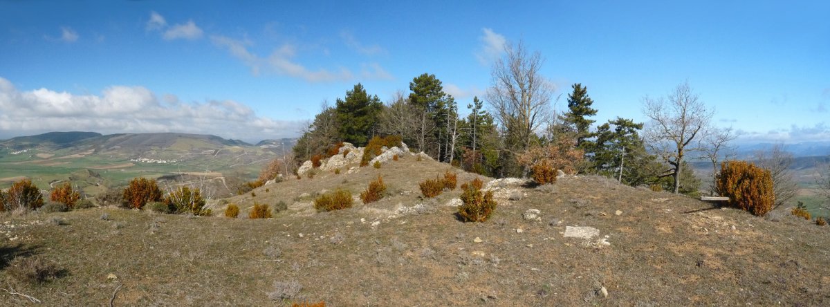 Txarribizkarreko gailurra