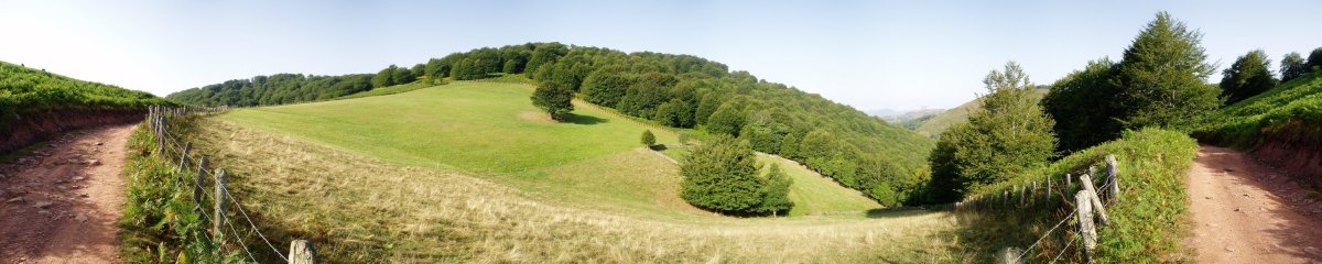Berdaritz lepora iristen