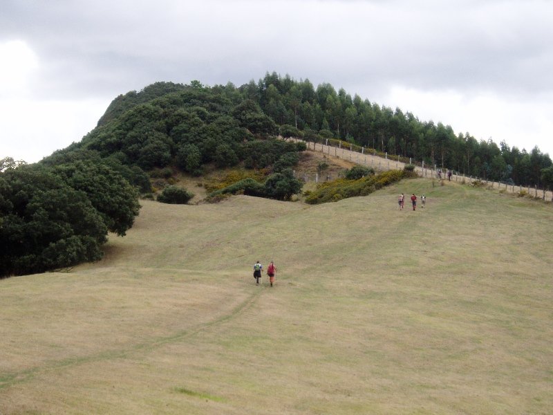 Mendebaldeko bizkarra