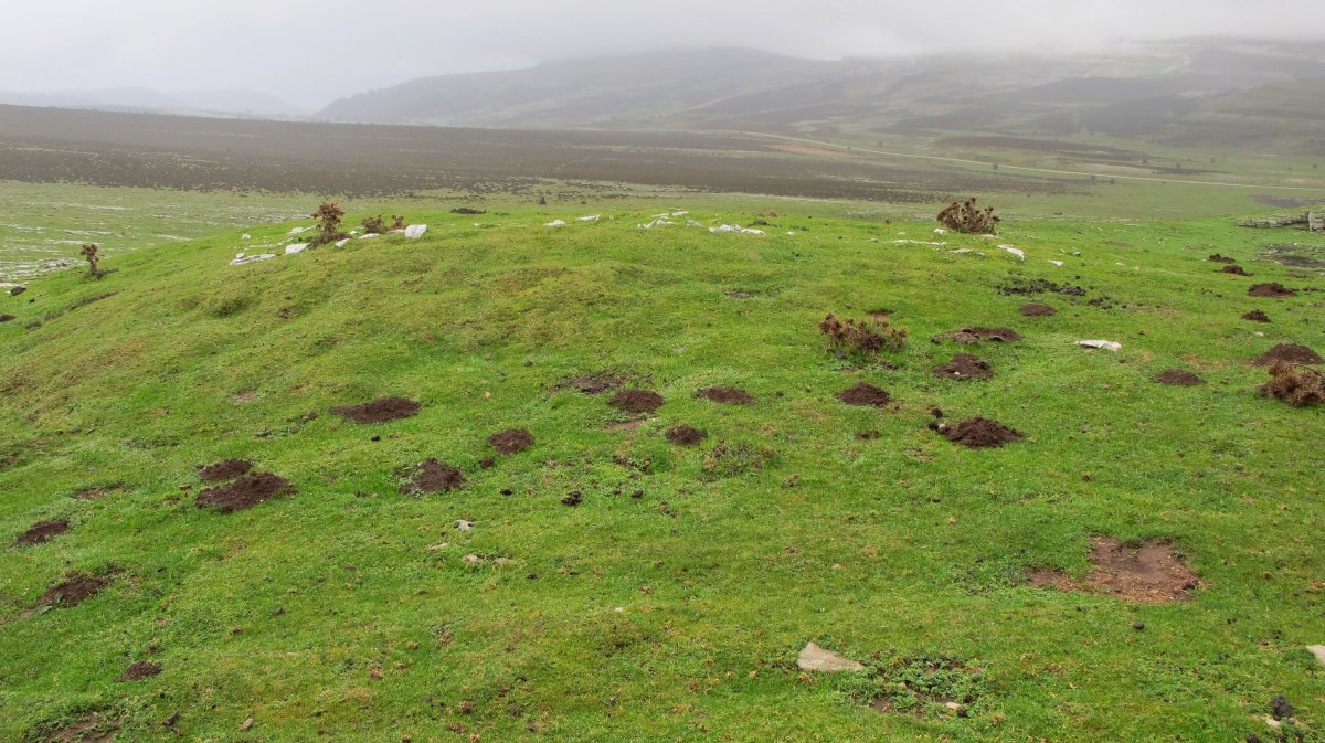 Carabineros txabola tumularra