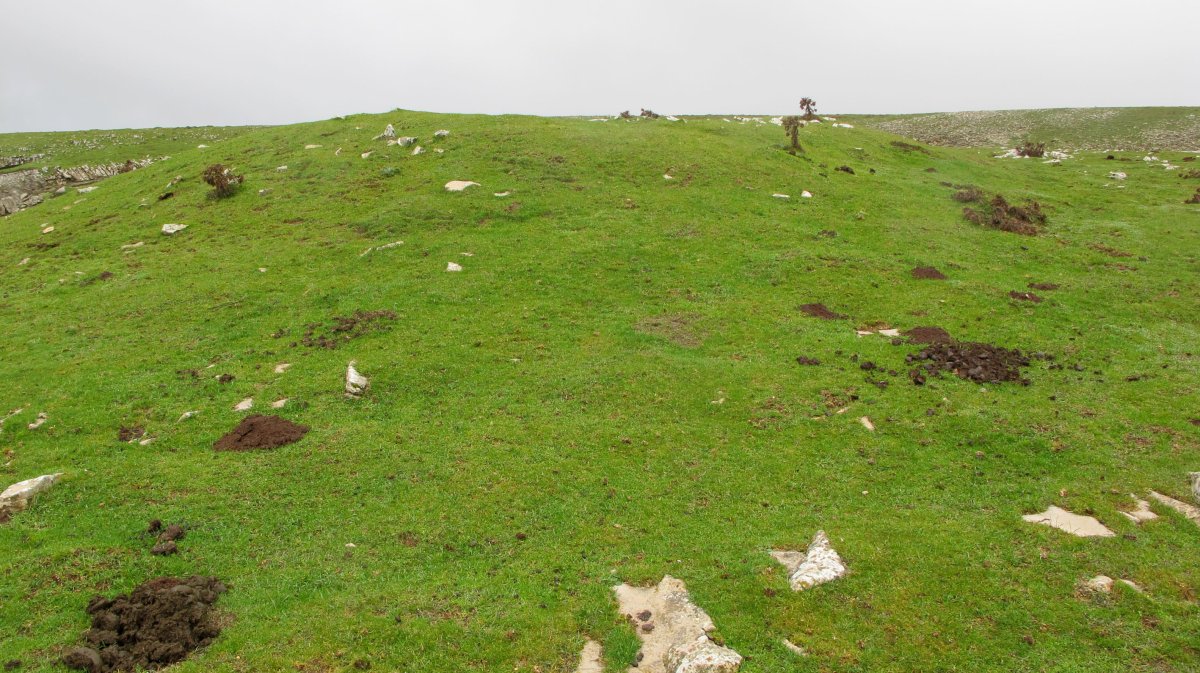 Carabineros txabola tumularra