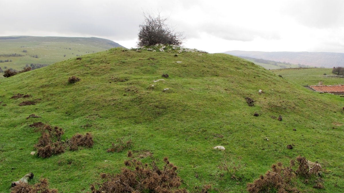 Zamargiñen Txabola txabola tumularra, Andia