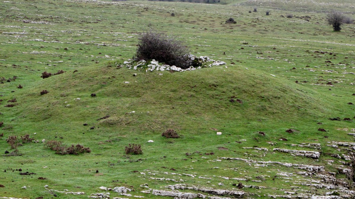 Zamargiñen Txabola txabola tumularra, Andia