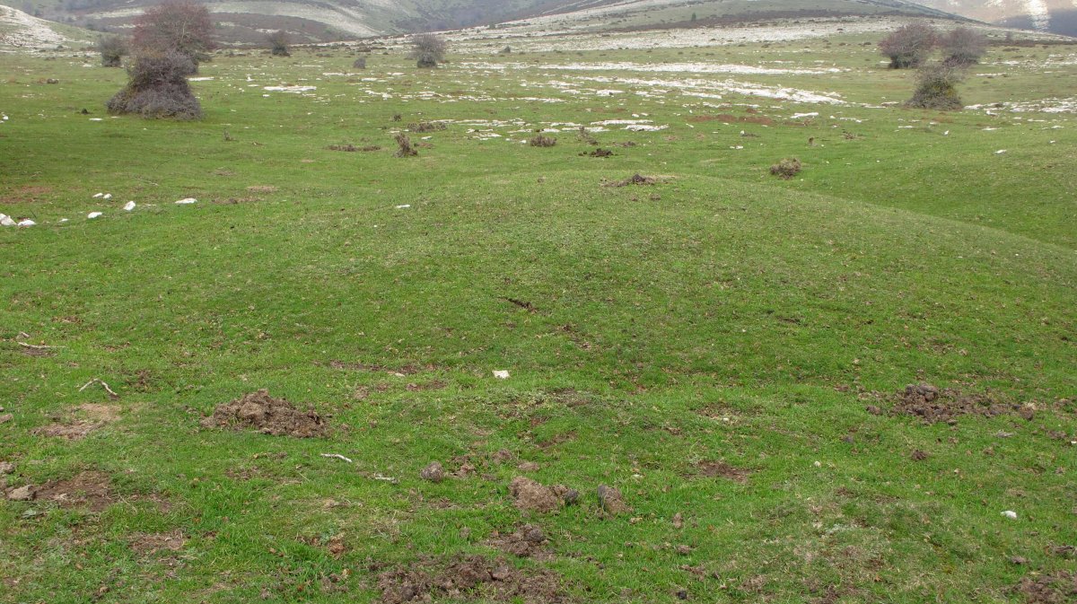 El Orinal 1 ipar etxola hondoa, Andia