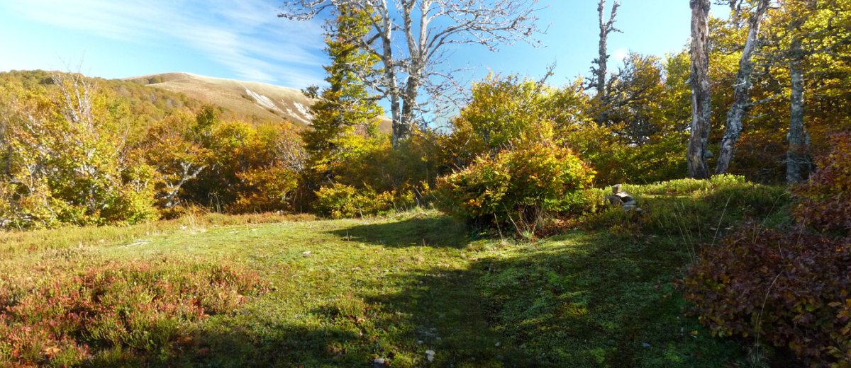 Otsolezea mendiko iparraldeko gailurra