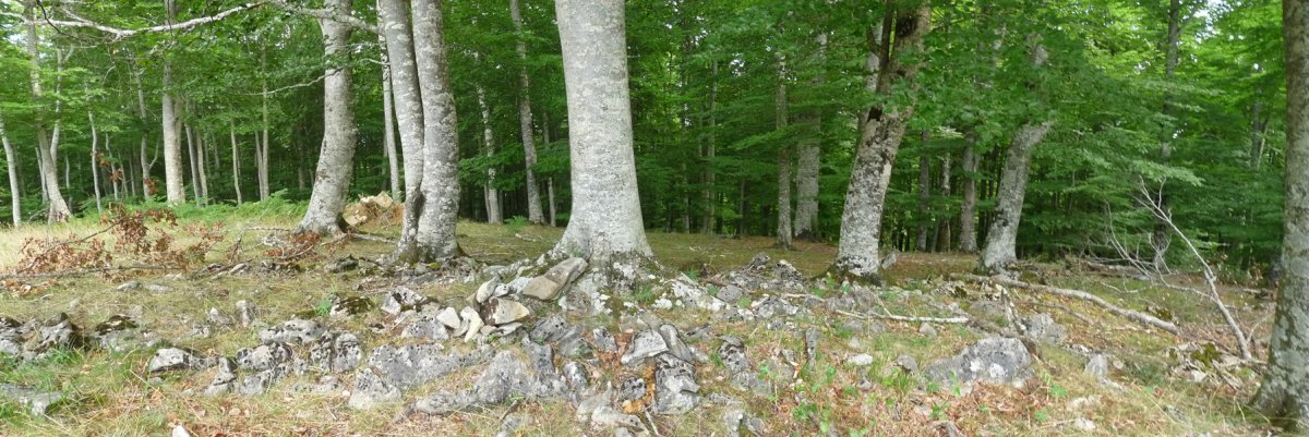 Zugazmendiko gailurra (805)