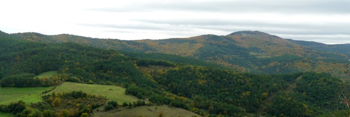 Measkoitz iparraldetik