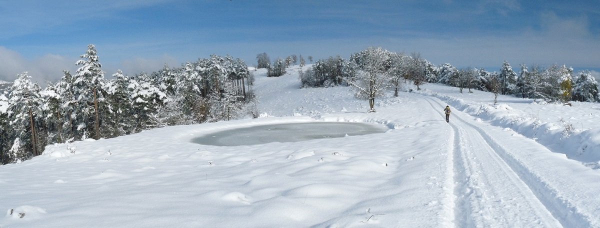 Ur putzua Erroko mendateko bidean