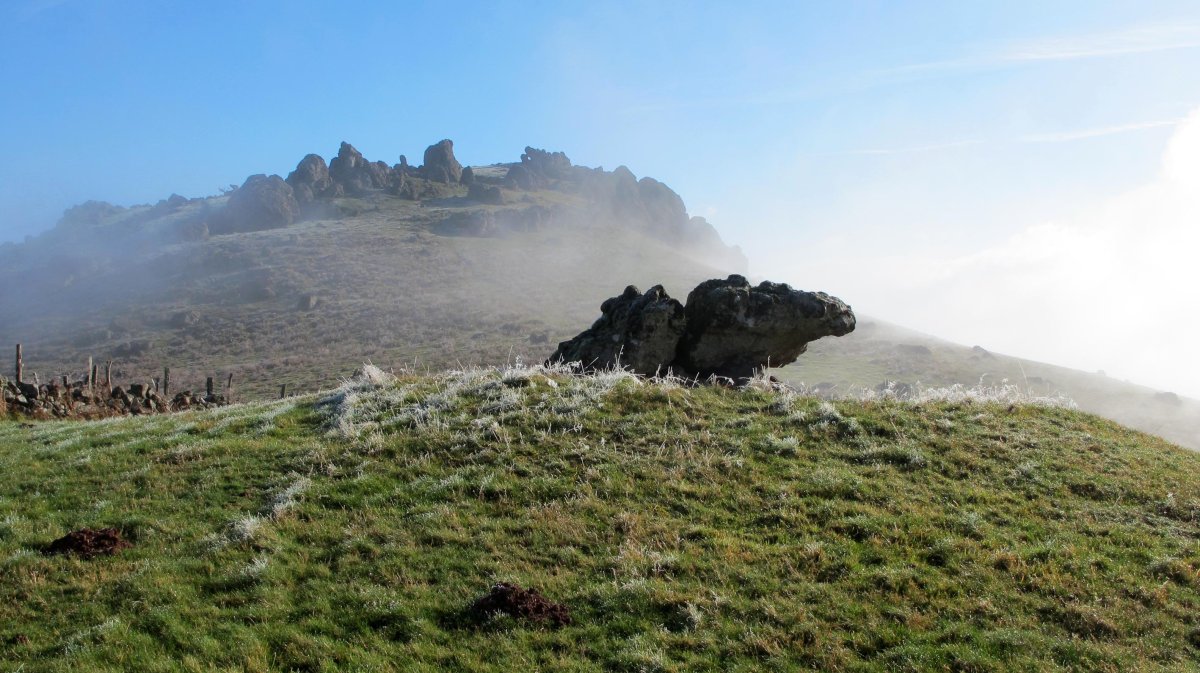 Buluntza trikuharria