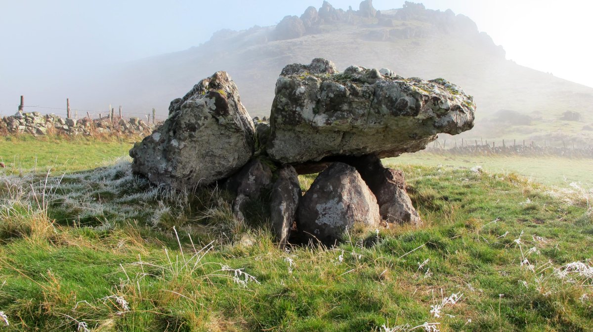 Buluntza trikuharria