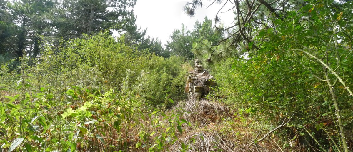 Santa Kruzeko hondakinak, Mendiburuko gailurrean