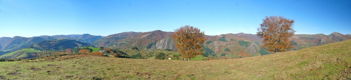 Aintzingurutzeko gainaldea