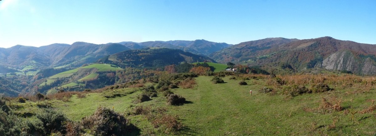 Aintzingurutzeko bidea