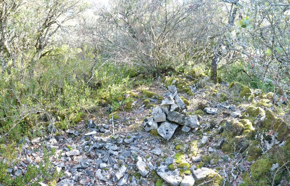 Txaparralgo gailurra