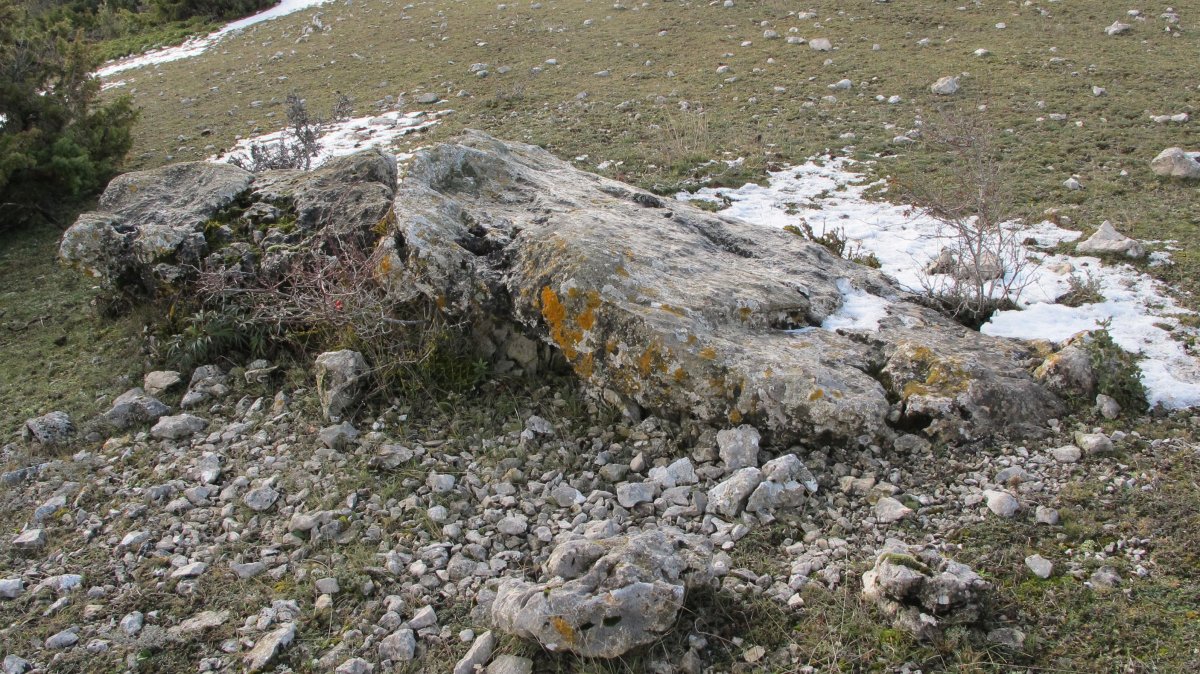 La Planilla zutarria, Deierri