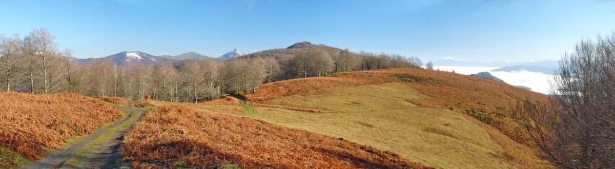 Lexarburu Azako Mehakatik