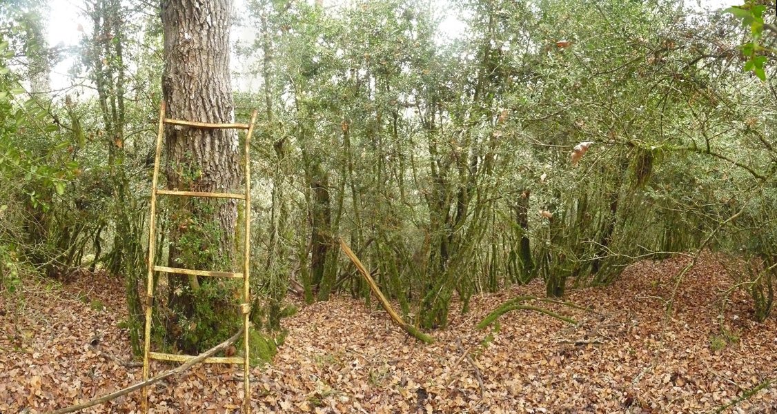 Joandaitsasiko gailurra