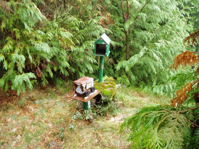 Pico Menorreko tontorra