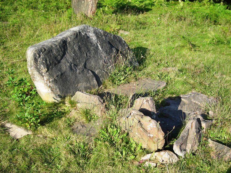 mulisko gaineko zista