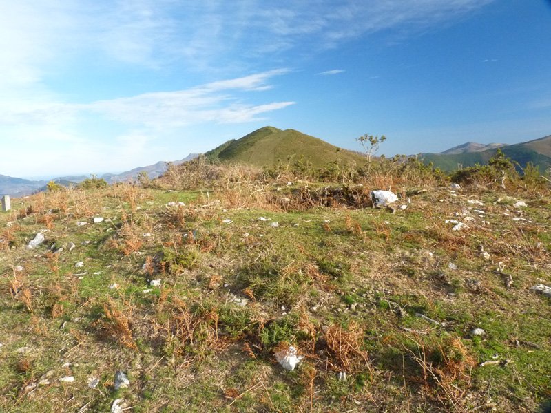 Artaleku trikuharria