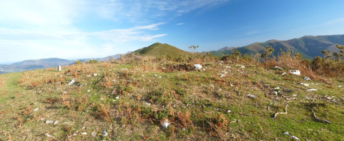Artaleku trikuharria, Urkidi mendiko gailurrean