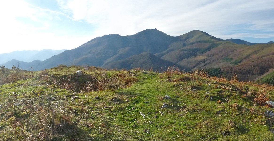 Artaleku trikuharria